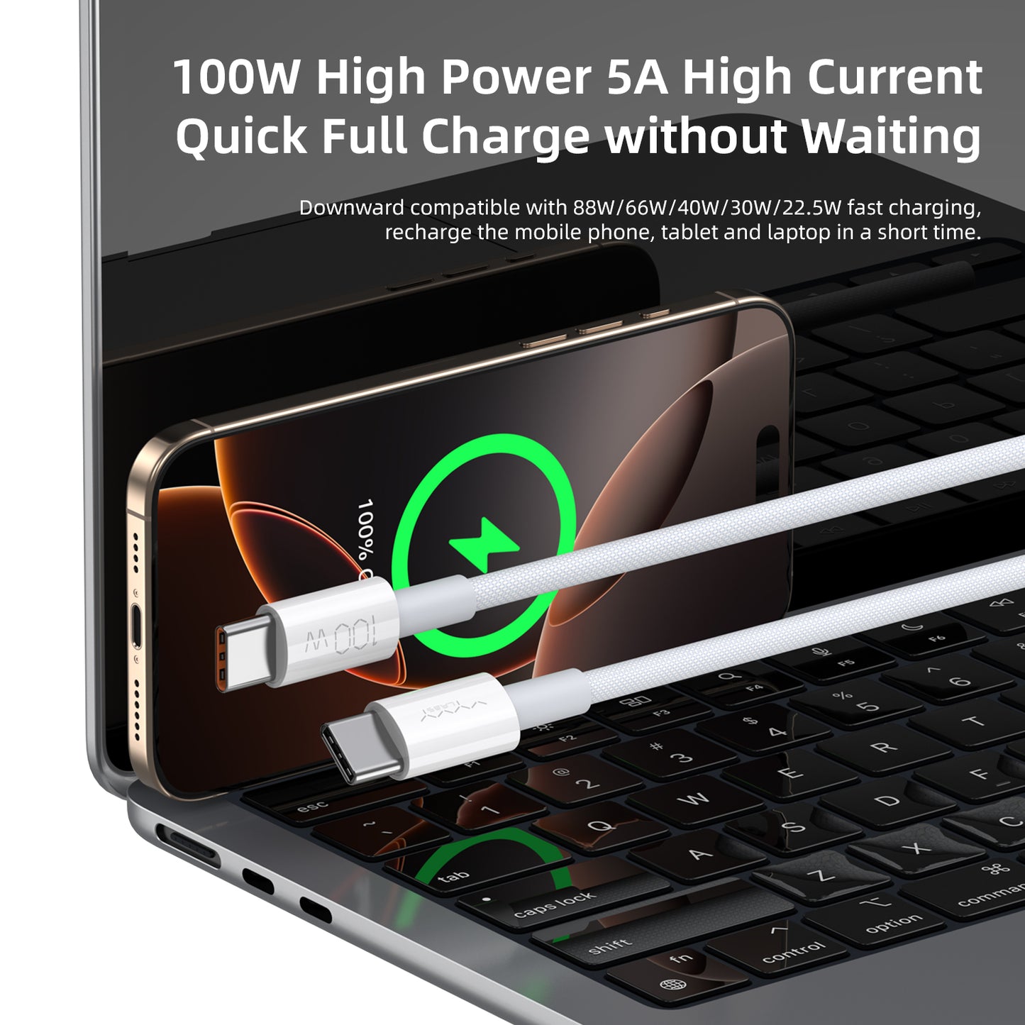 Vyvylabs Prime Series Fast Charging Cable Type-C to Type-C 100W 1M