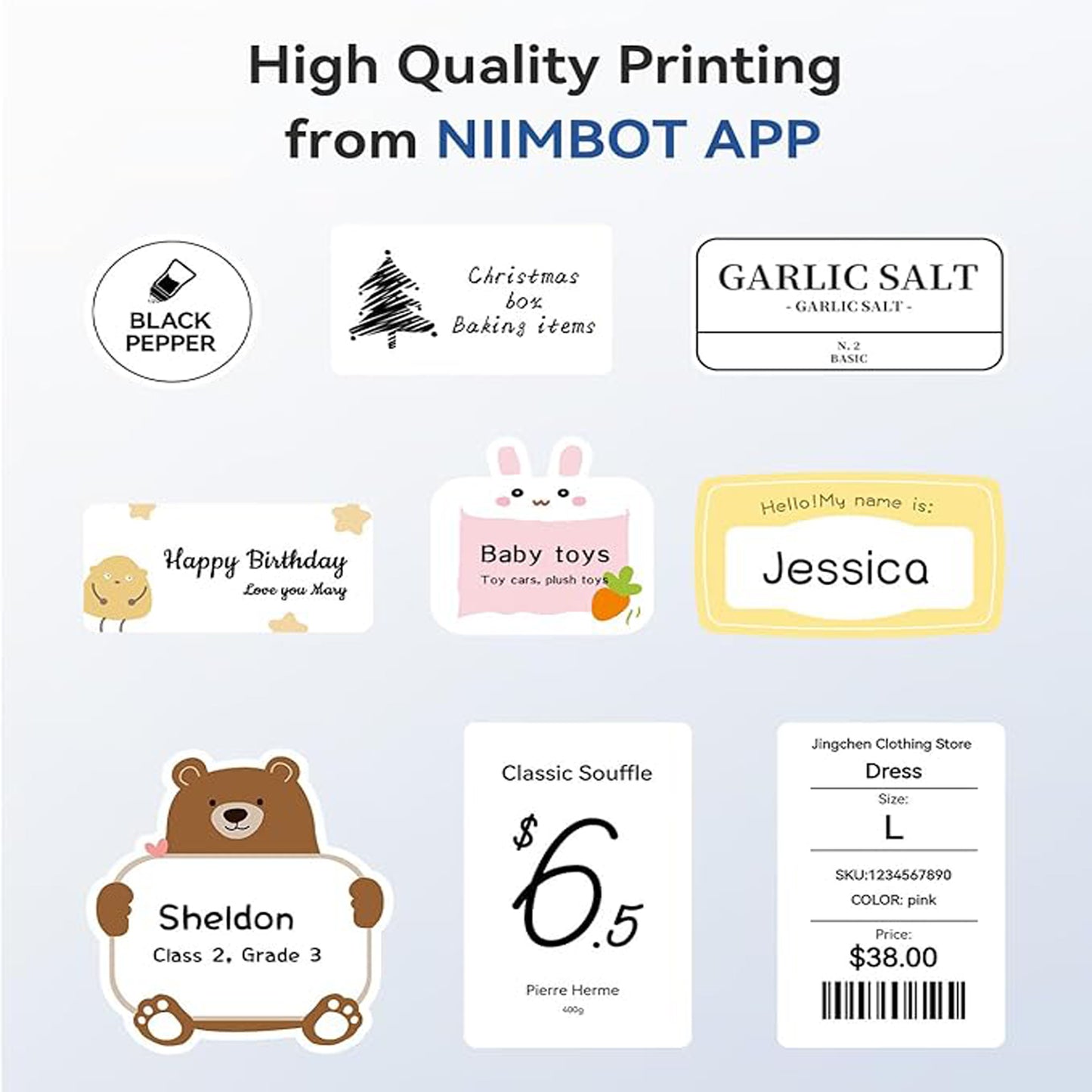 Niimbot B1 Portable Label Maker